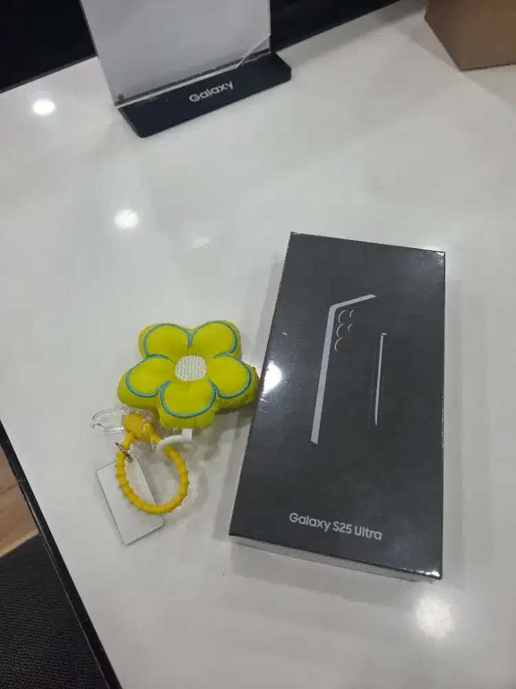 Samsung Galaxy S25 Ultra