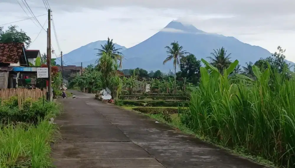 Dijual Tanah Sawah Di Jalan Kaliurang km 10