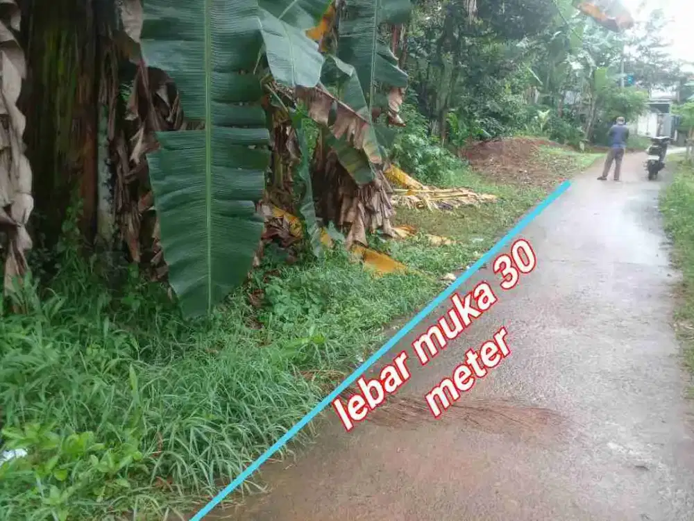 dijual tanah murah banget