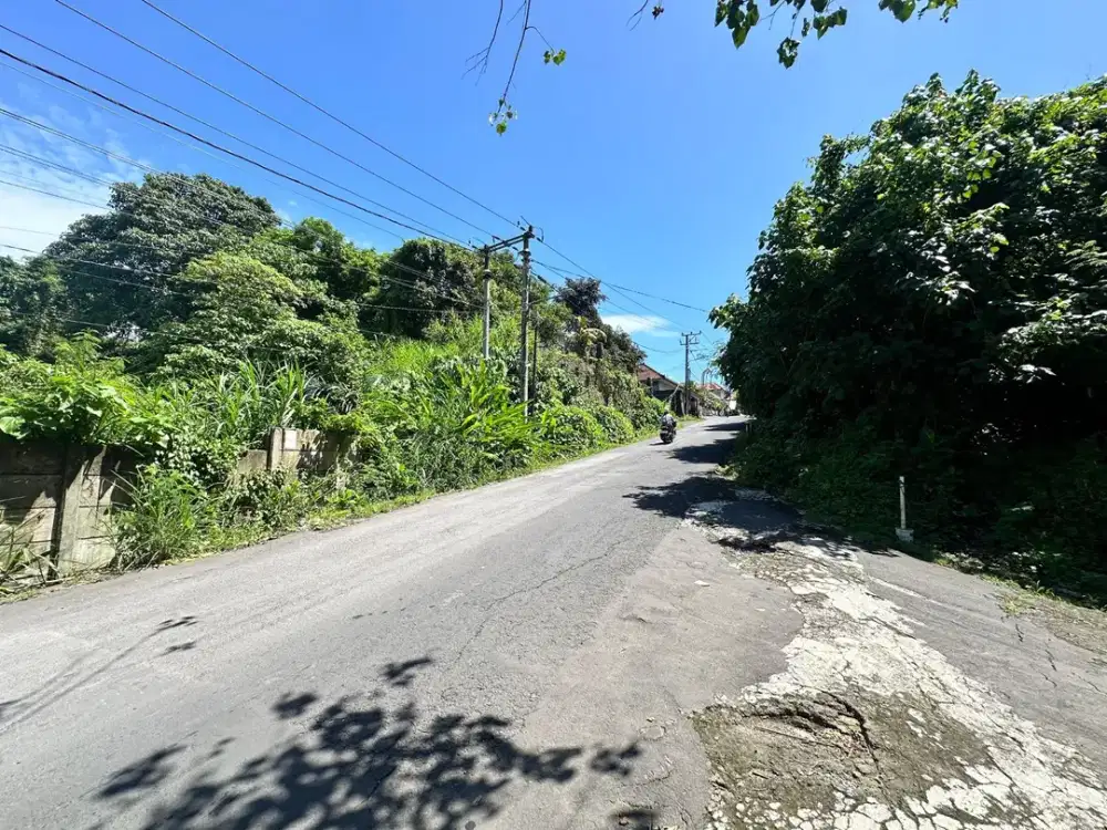 Jual Tanah Di Jalan Utama Jaya Sakti Peguyangan Denpasar  Denpasar Bali. Dekat Jlan Antasura, Wr Mina, Cekomaria, Hamda Yani Utara.