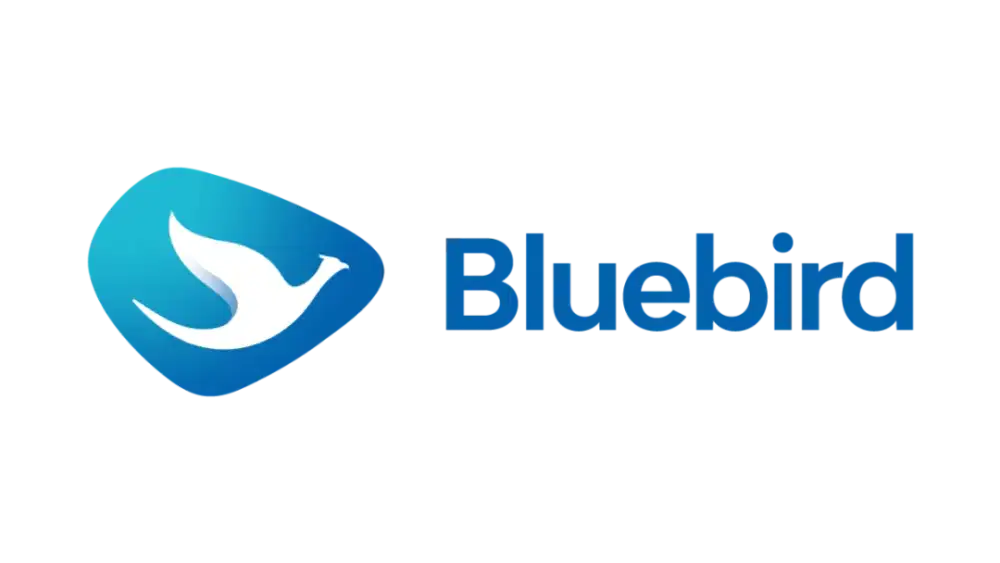 Driver Taksi Bluebird