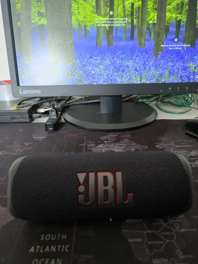 Speaker JBL Flip 6