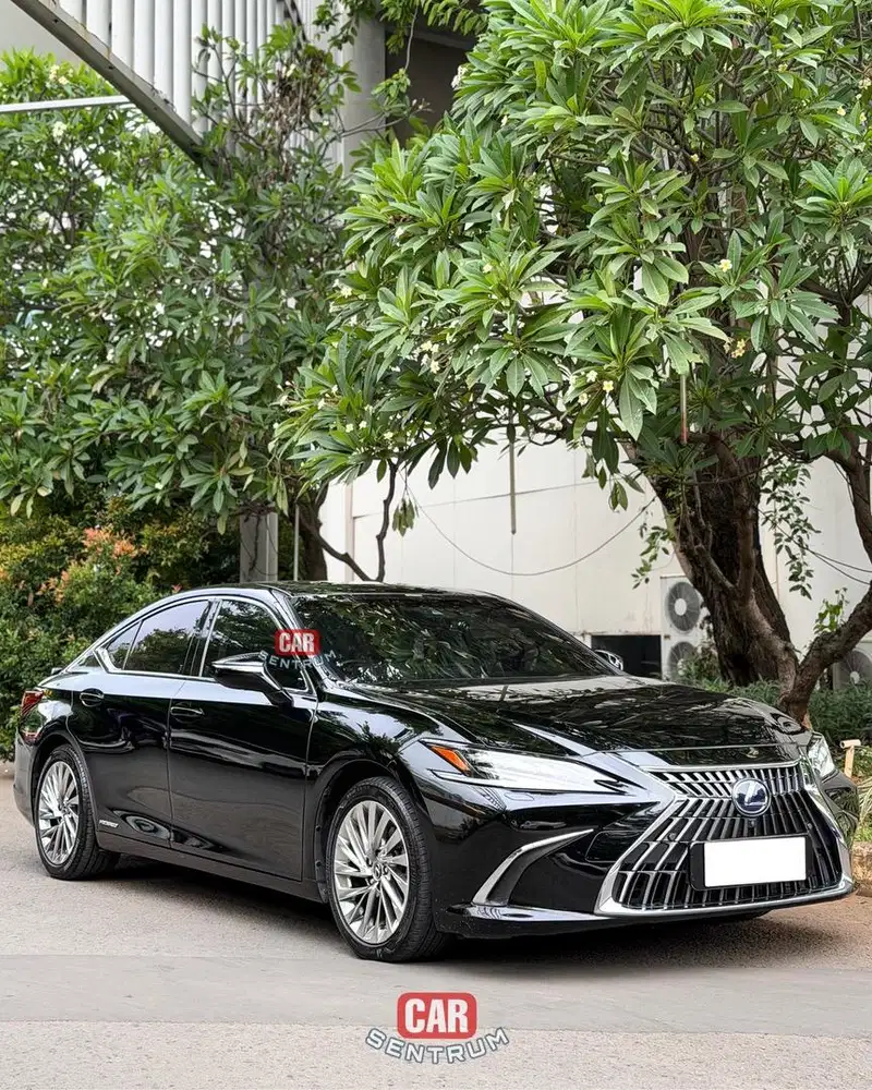 Lexus ES300 Hybrid 2022