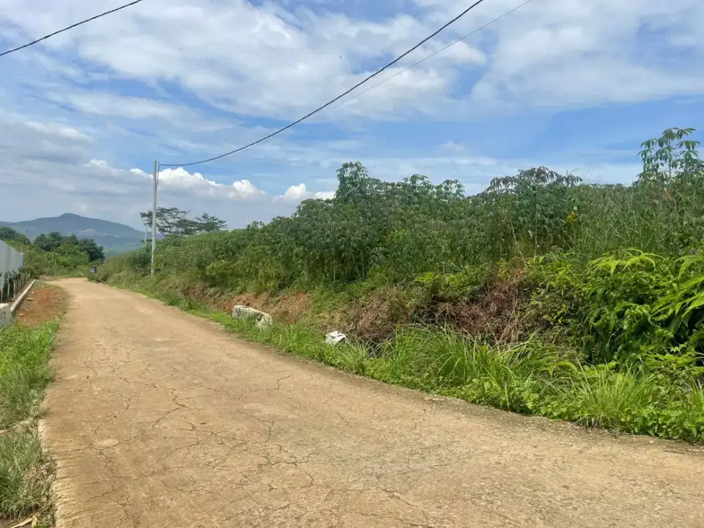 DI JUAL TANAH MURAH BOGOR