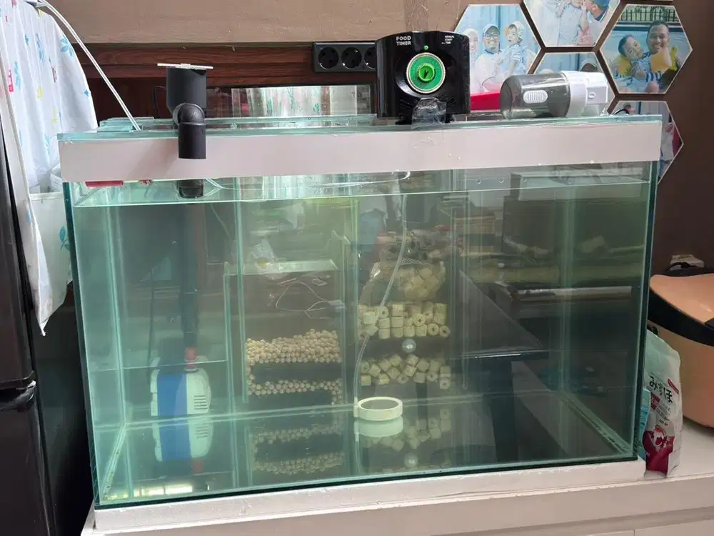 Aquarium kaca asahi gosok halus