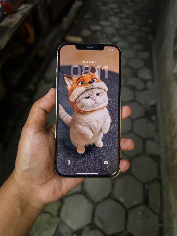 iphone 12 promax 256 regis