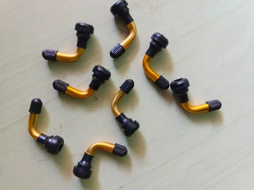 Pentil ban sepeda listrik