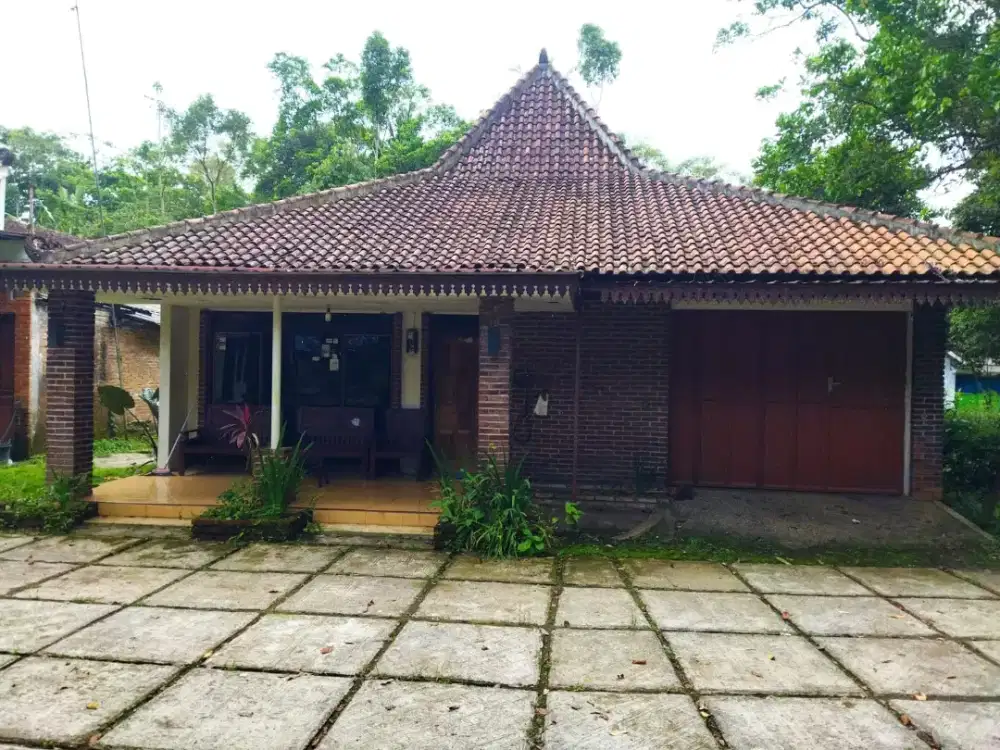 DISEWAKAN RUMAH MURAH BESAR SEKITARAN CANDI BOROBUDUR