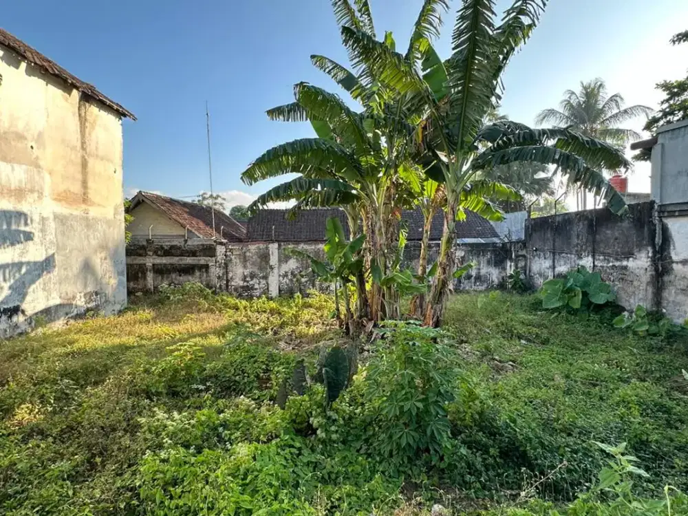 Rumah Cocok Untuk Usaha & Strategis di Bondowoso, Jatim