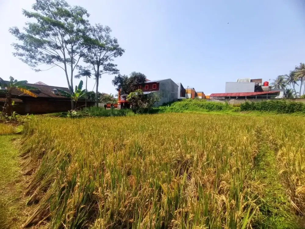 Tanah Luas 1034M2 Strategis di Limbangansari Cianjur