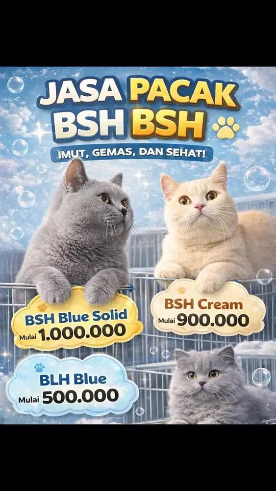 JAAASAAA PPAAACAKKK BSH