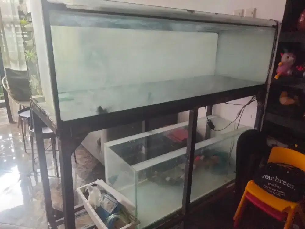 Aquarium fullset murah meriah