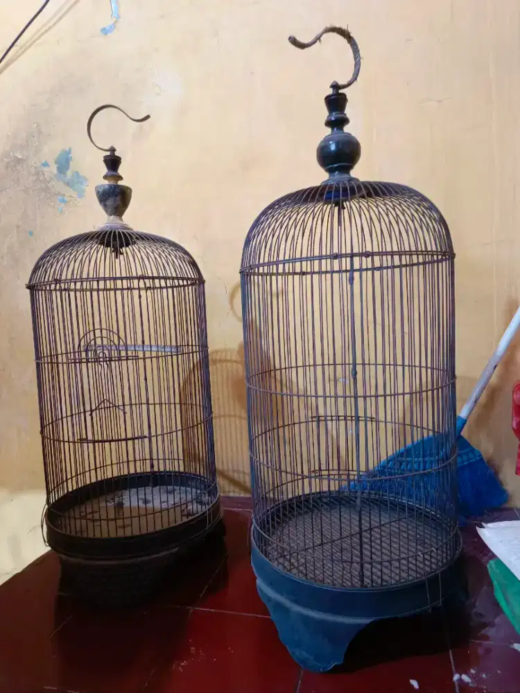 Kandang burung loverbird pleci konin
