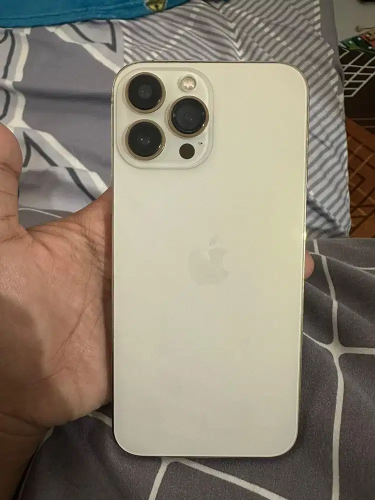 iphone 13promax 256gb