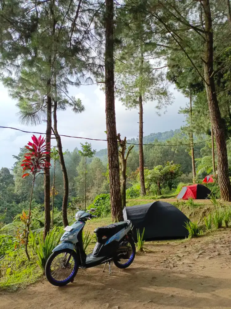 MIO SMILE TO SPORTY 2009