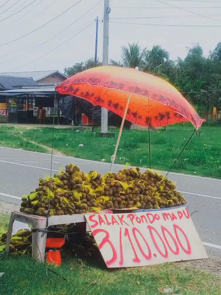 Cari orang kerja jualan buah samping jalan