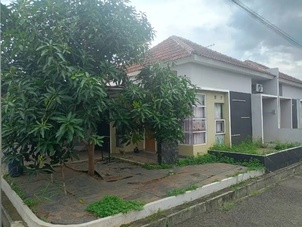 Dijual Cepat !! Rumah & Isi Nego Sampai Jadi - Survey Lokasi 24 Jam