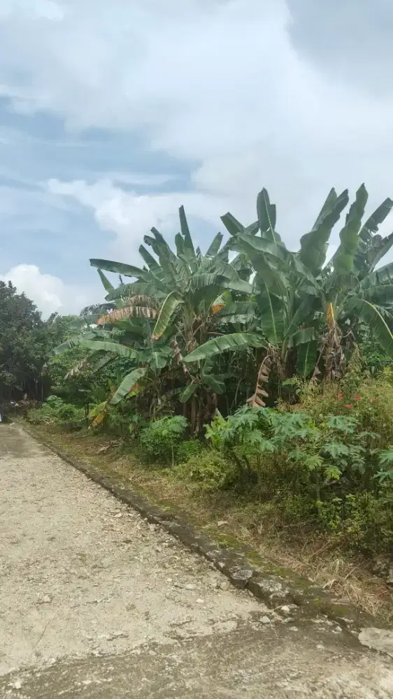 Jual Tanah PRIBADI di Jatimulyo