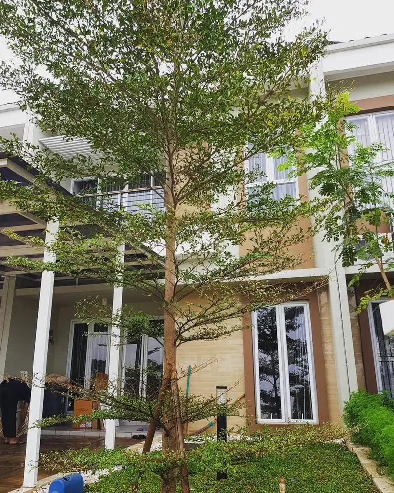 Disewakan Rumah Asri 2 Lantai Depan Danau