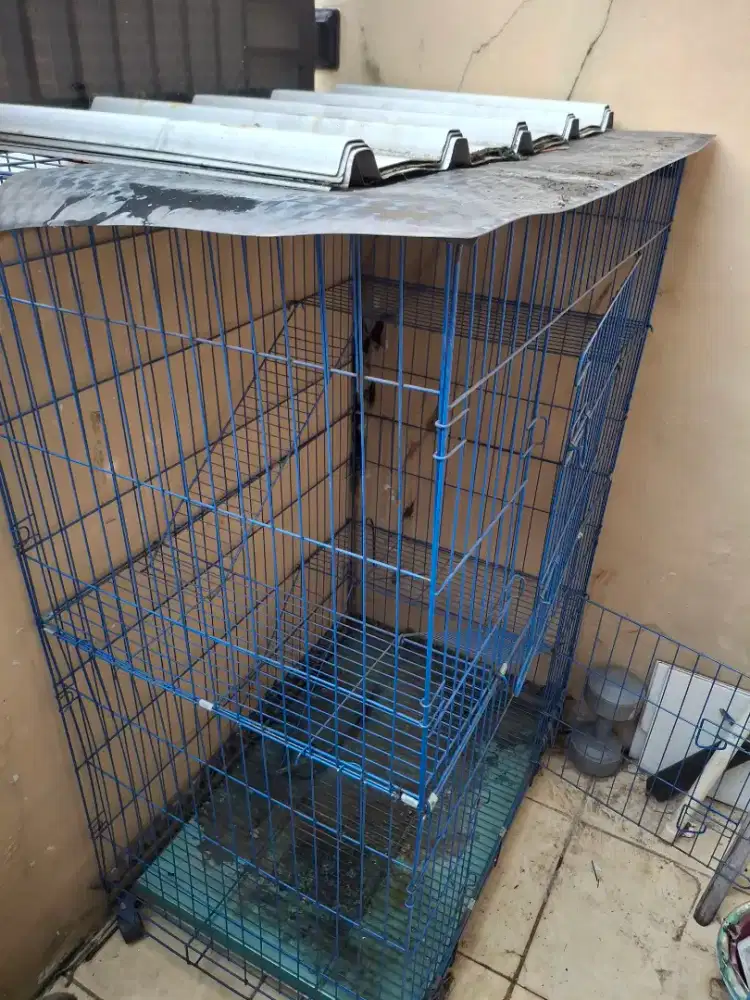 Kandang kucing 3 tingkat