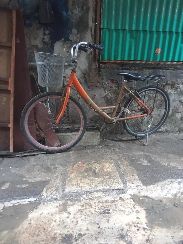 Sepeda keranjang belanja dewasa siap gowes