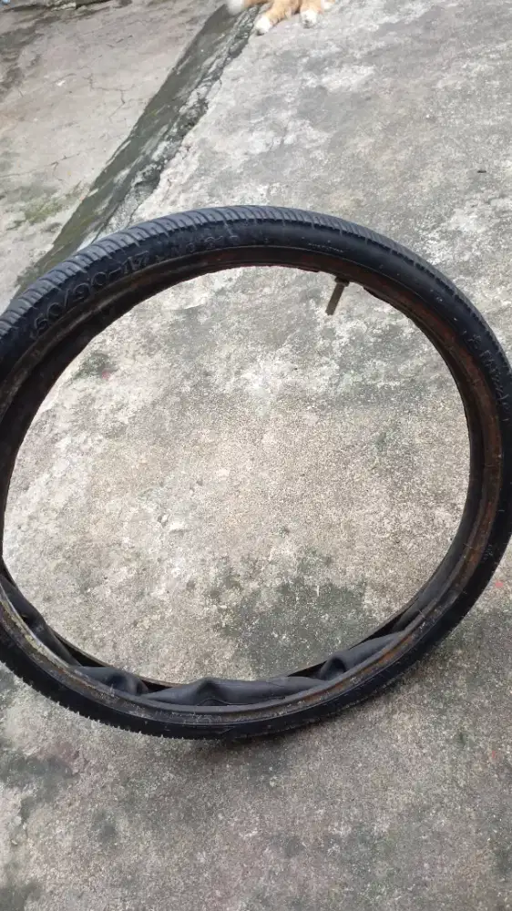 Ban mizzle power vtx