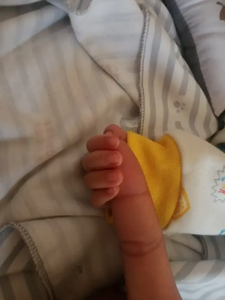 Dibutuhkan Baby Sitter Menginap