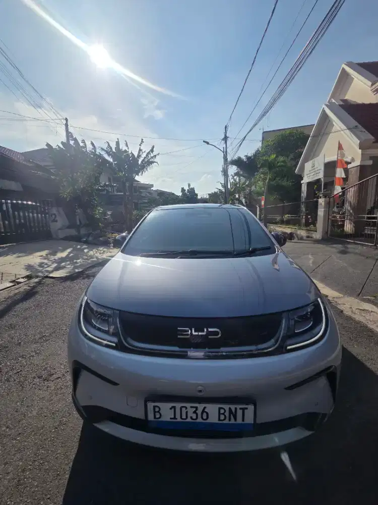 Byd Dolphin Premium 2024