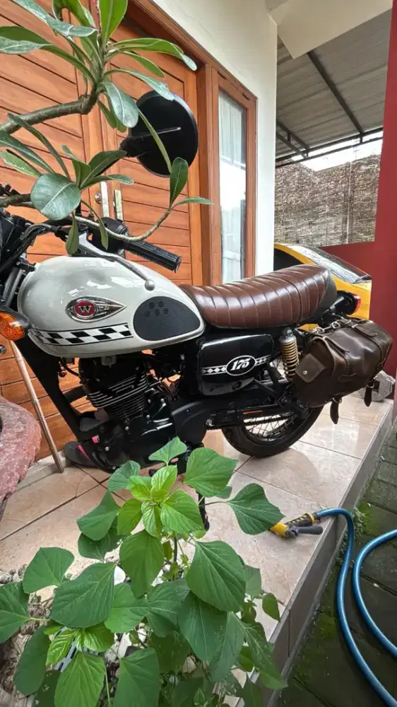 Kawasaki W175 Cafe Racer - NOS