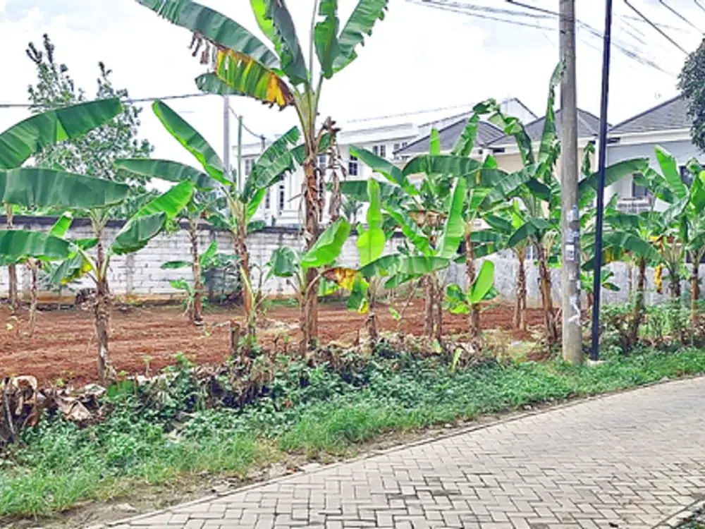 Kavling Strategis, 10 Menti Stasiun Rawa buntu, SHM