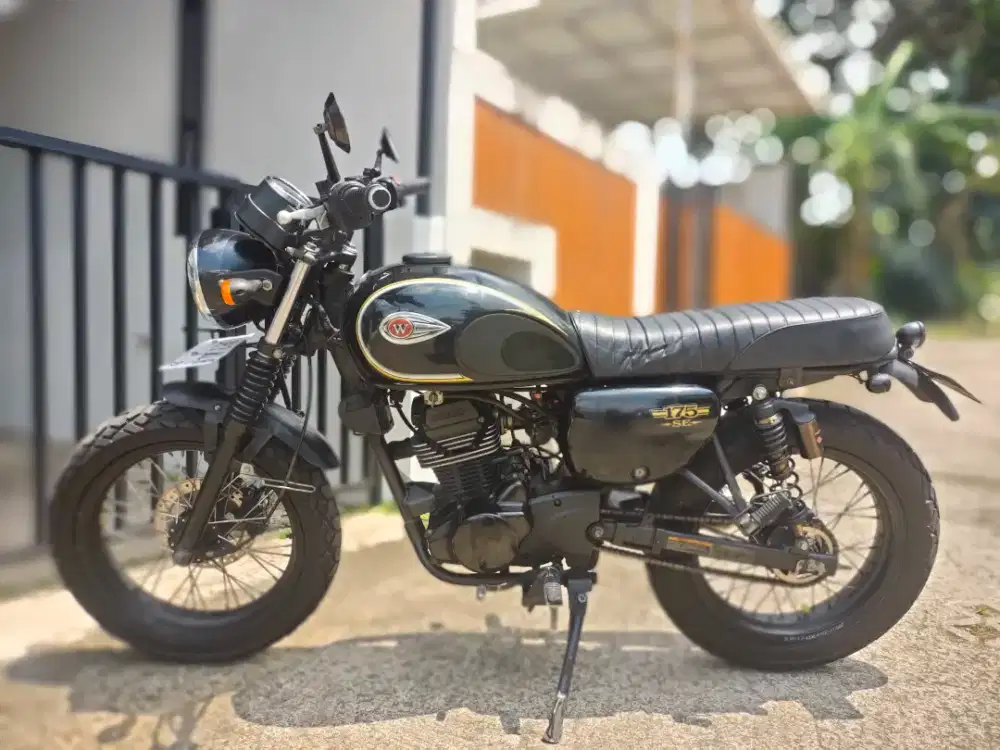 Kawasaki W175 SE Bisa TT