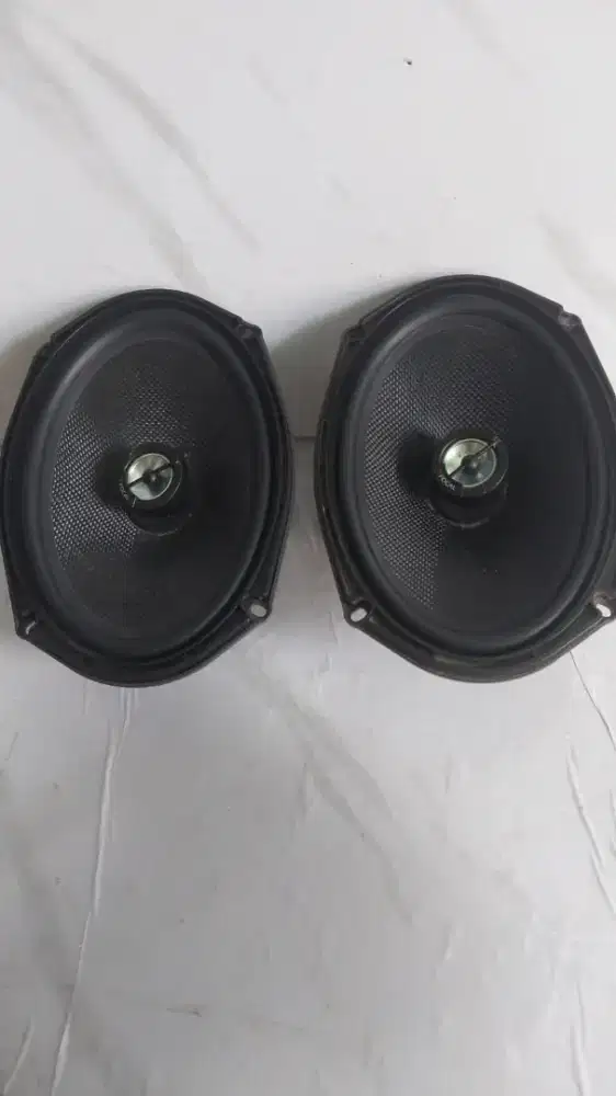 Speaker oval focal
