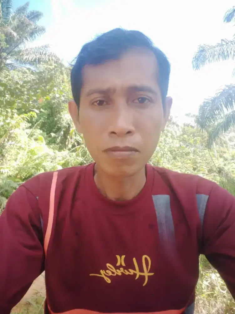 Driver siap kerja berpengalaman