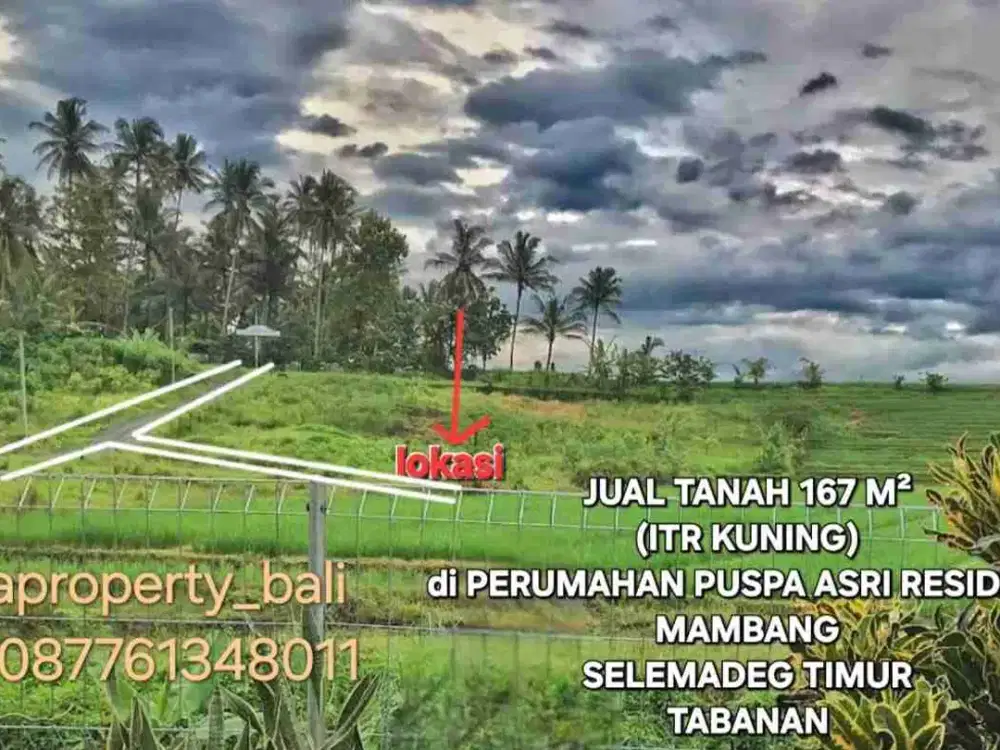 jual tanah167m2 mambang selemadeg timur