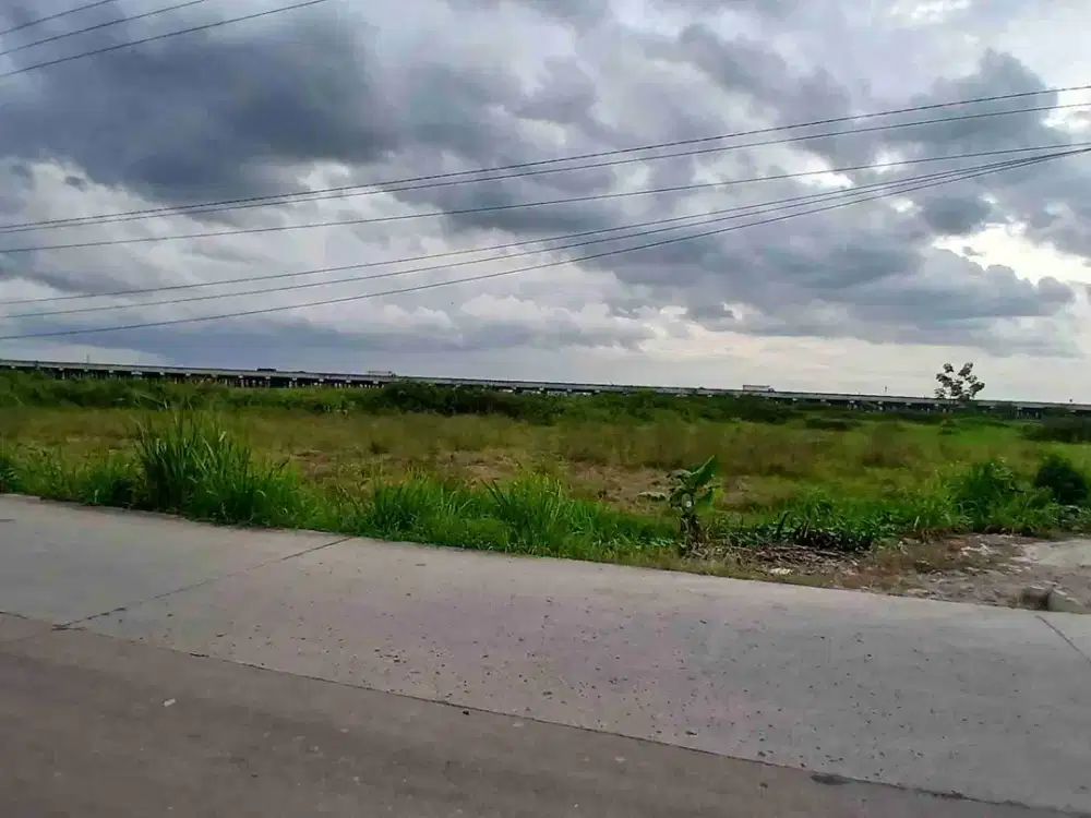 DIJUAL TANAH 1 JUTAAN STRATEGIS 5 HEKTARE DI BABELAN BEKASI