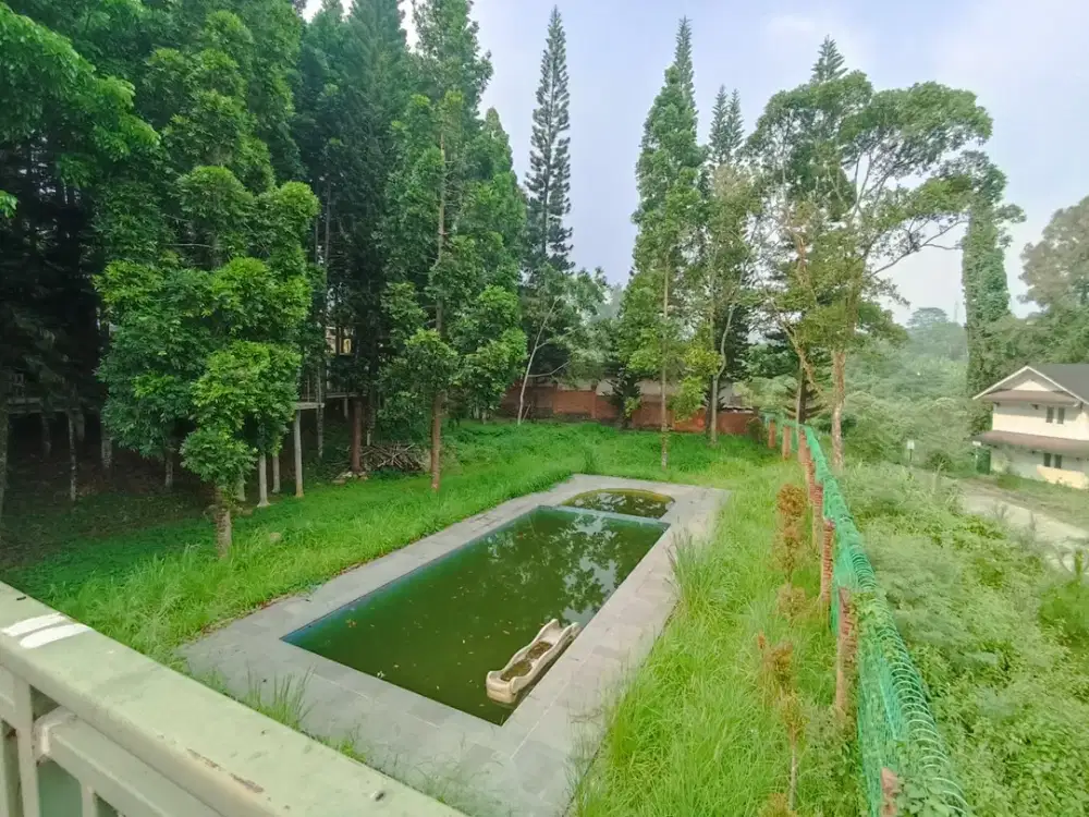 DIJUAL TANAH BAGUS UNTUK GLAMPING & CAFE DI MEGAMENDUNG