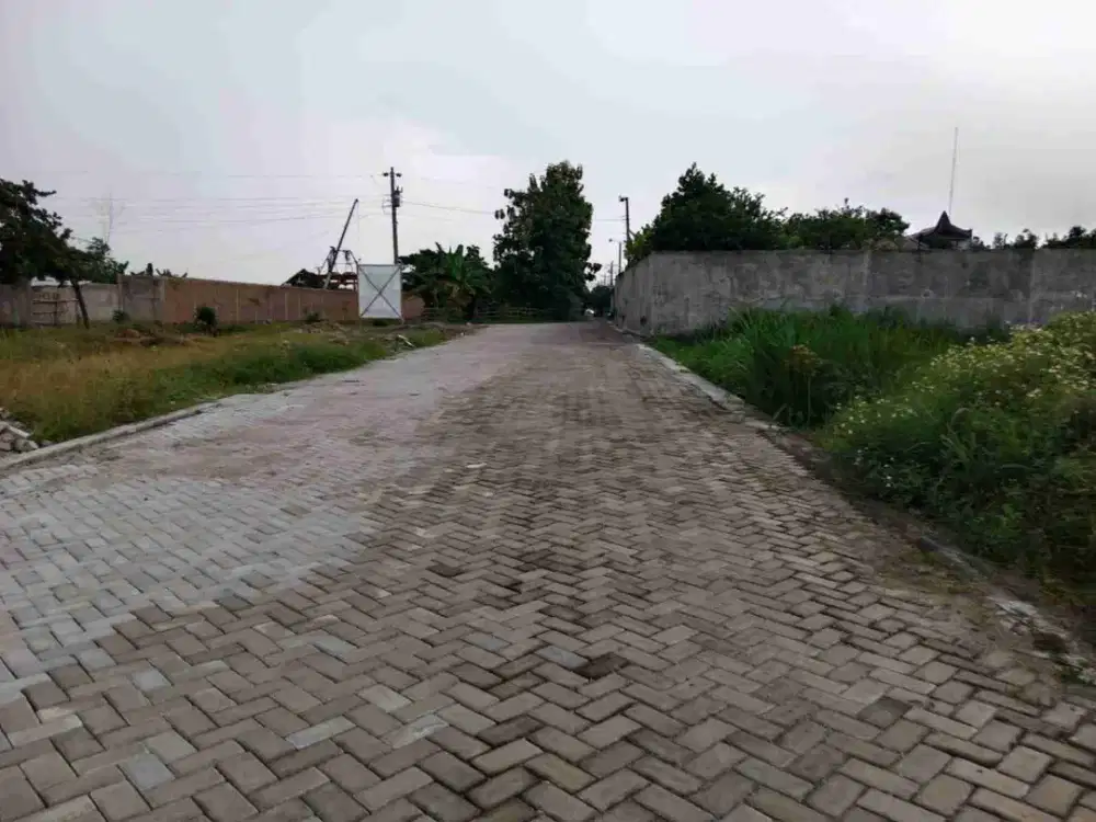 Pekarangan strategis, luas 1.268m² muka 40m jalan 6,5m, 800m dari jalan Raya lawu ( palur - karanganyar) :