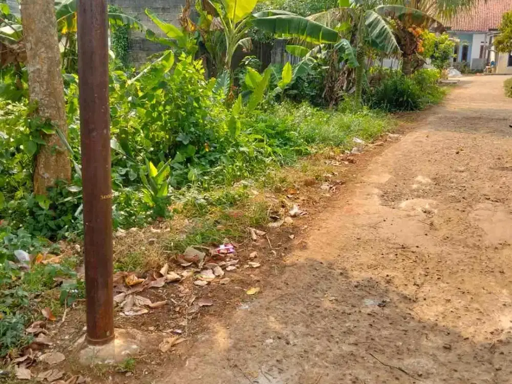 TANAH KEBUN MURAH DI KAMPUNG PONDOK CISEENG PADAT PENDUDUK TANAH RATA