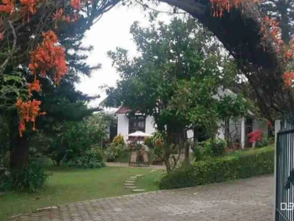 DIJUAL VILLA DI BATU COCOK UNTUK CHILLING AND HEALING 0 JALAN RAYA (FURNISHED)