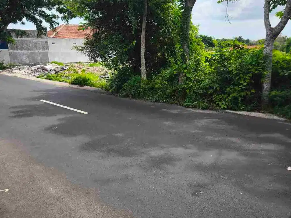 dijual tanah 8,5 are  IDR 900 juta per are nego jln utama pura Masuka ungasan Kuta Selatan Badung Bali