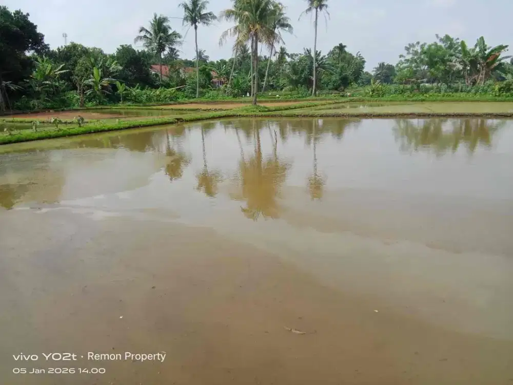 TANAH EMPANG MURAH SURAT AJB AKSES MOBIL DI CISEENG PARUNG BOGOR