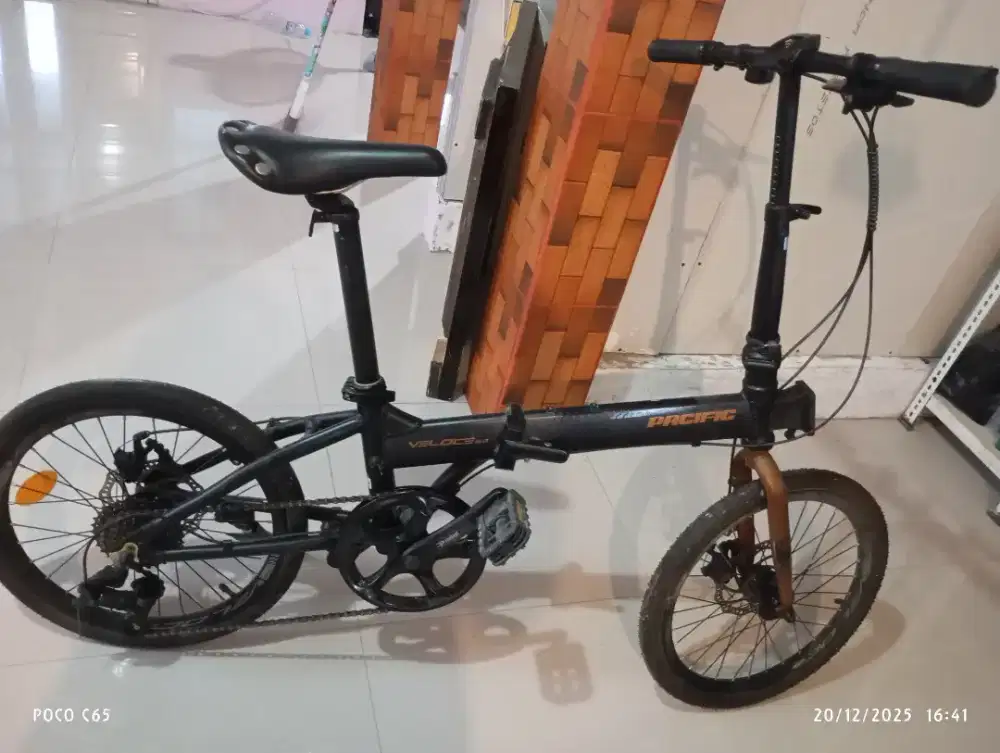 Sepeda Pacifik veloce
