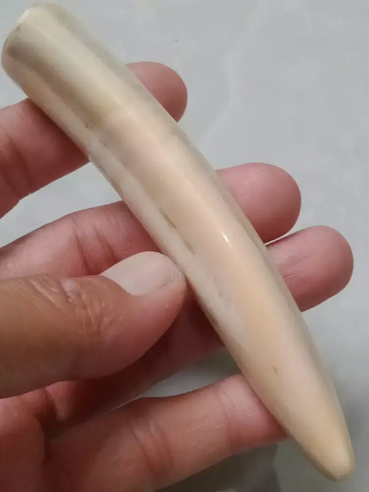 Padudan bahan ori Natural rasa gurih