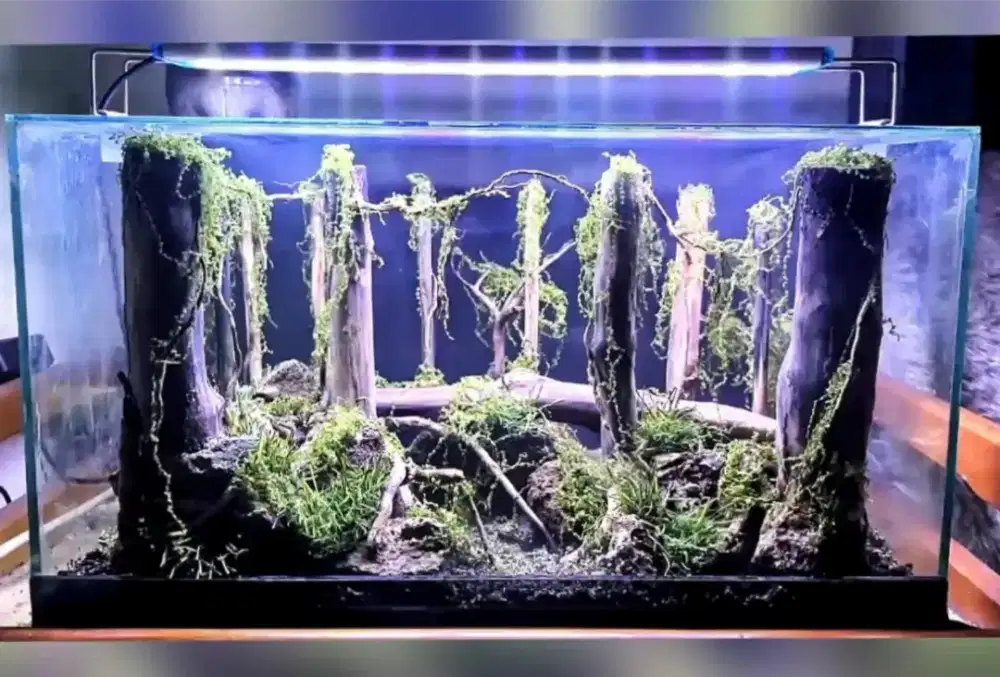 Hardscape Aquascape Ukuran 40x25x25