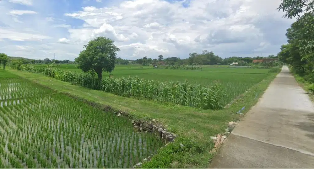 DIJUAL SAWAH SUBUR PRODUKTIF – SHM – LOKASI STRATEGIS