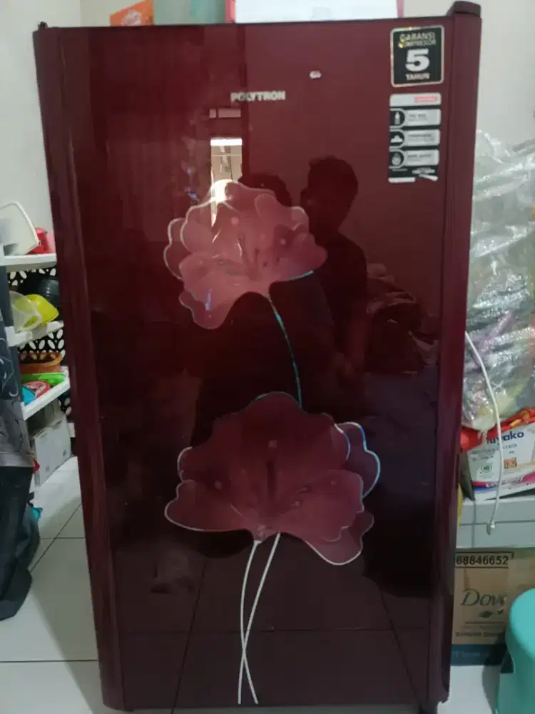 Kulkas Polytron 1 Pintu