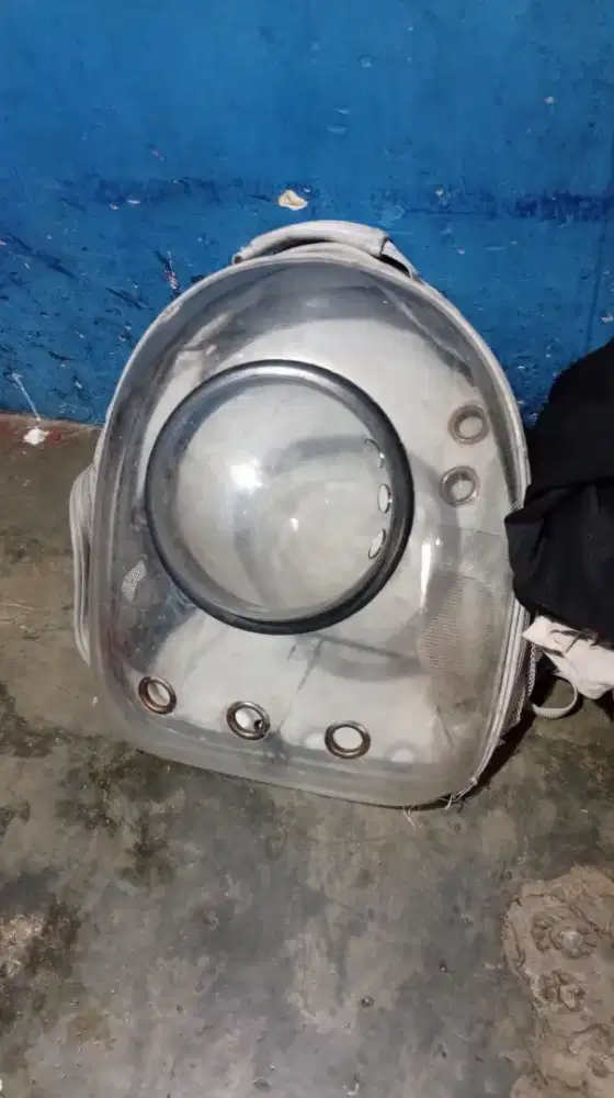 Tas kucing remaja secon