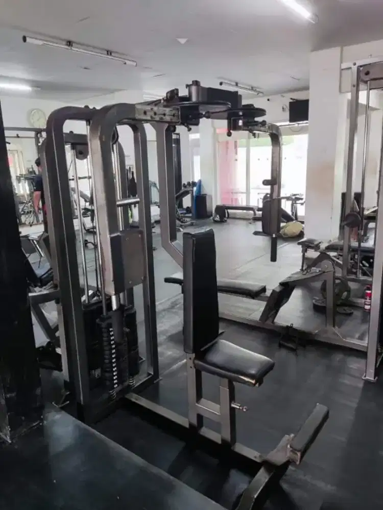 Butter fly ekonomies