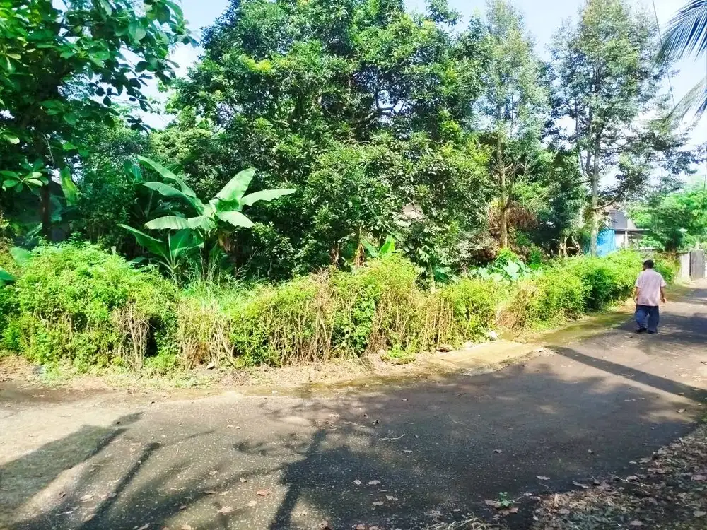 Jual Tanah Kebun Strategis