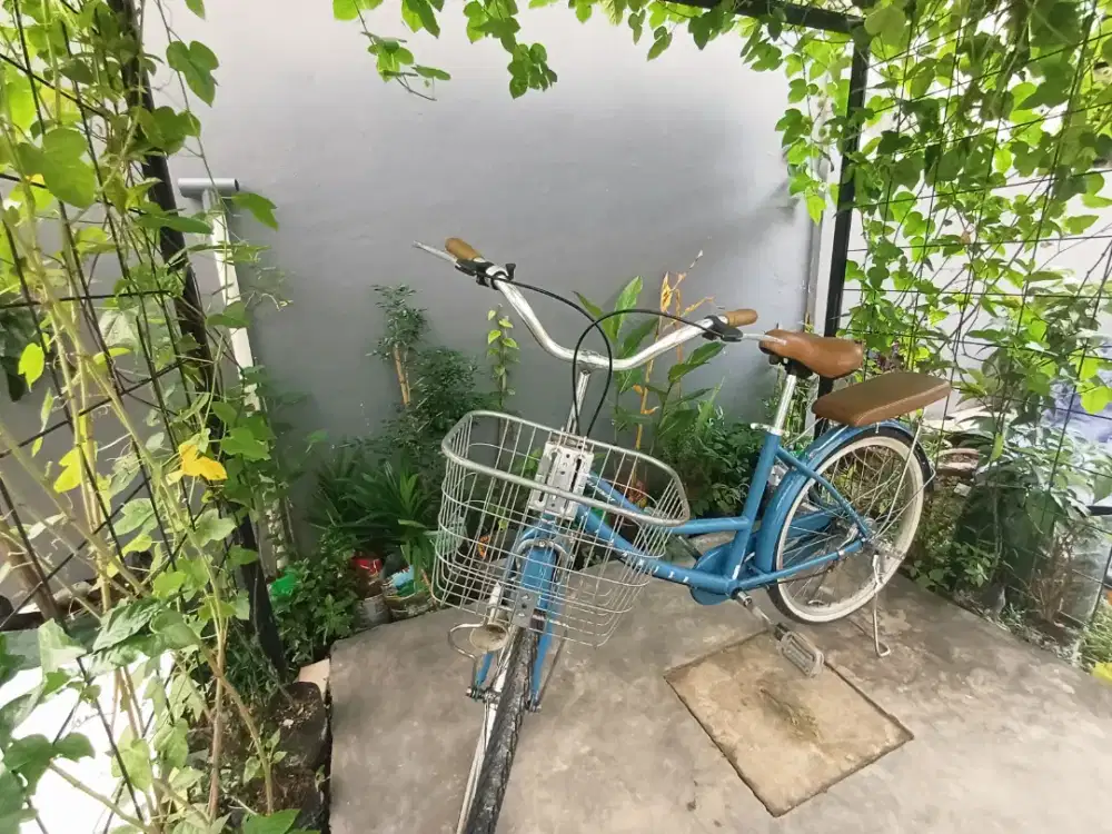 Sepeda Element Tiramisu